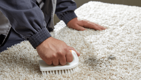 Professional Rug Cleaning Sandringham
