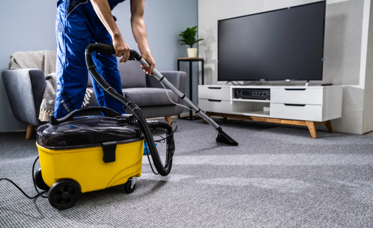 Extract Rug Cleaning Sandringham Contact Office